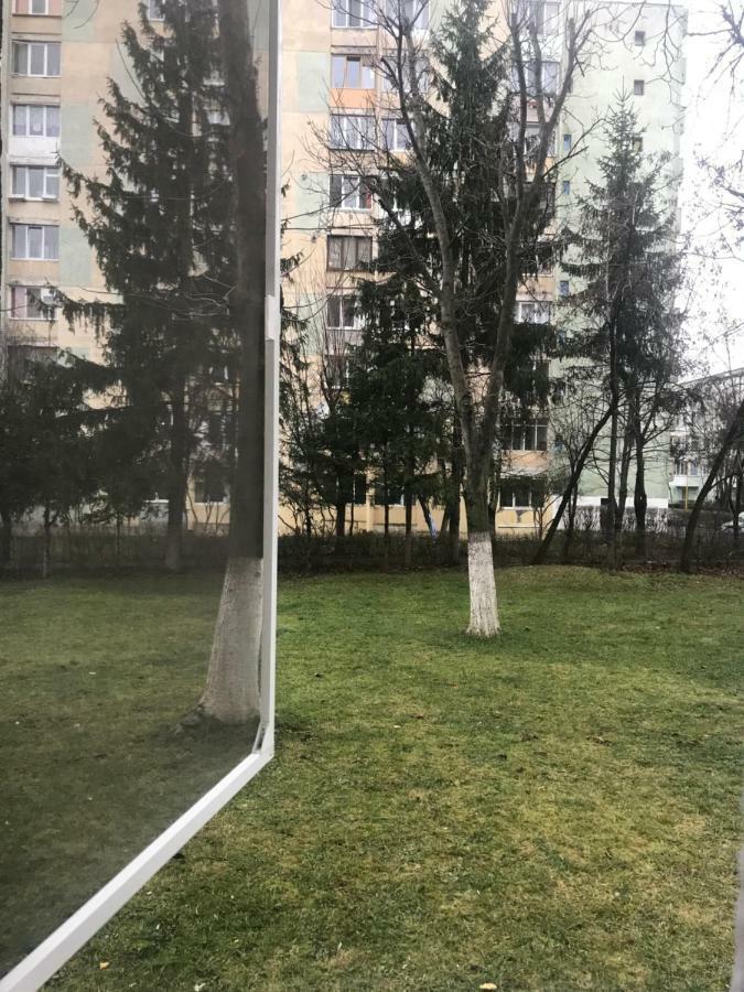 Etoile Studio Брашов Екстер'єр фото